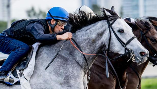 A Guide to Jockey Helmets and Safety Standards in&nbsp;Racing